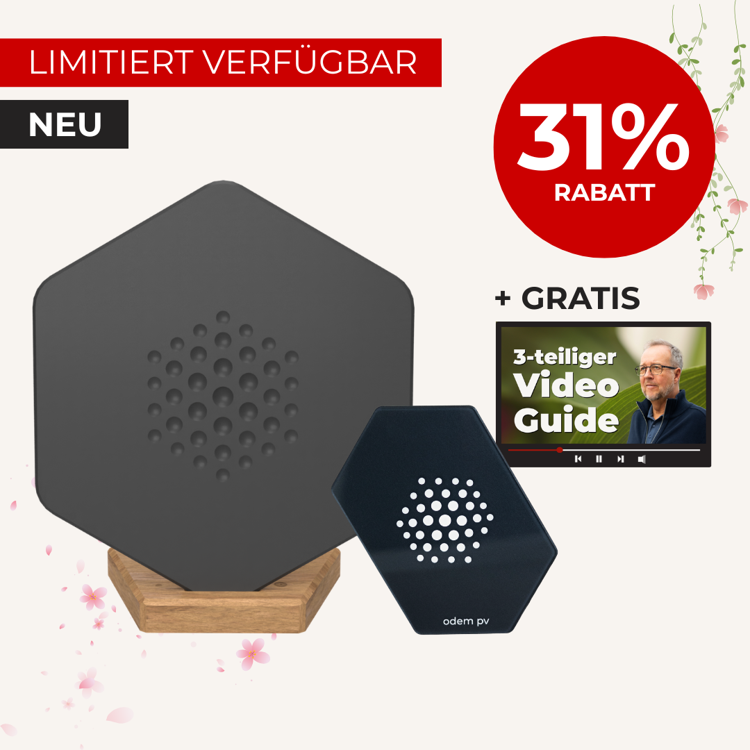 Cozy Home - Oster Angebot