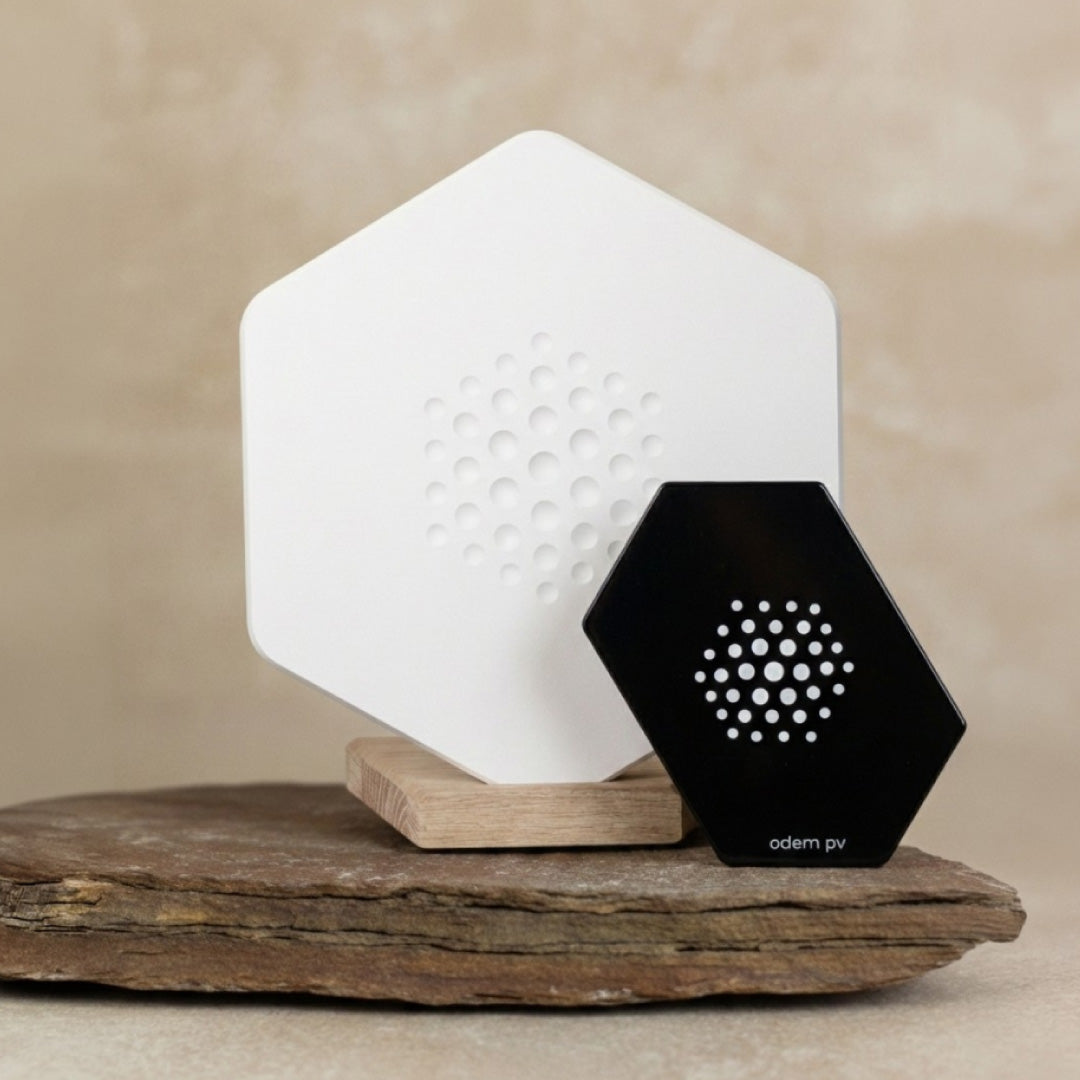 Kombi-Angebot home & pv