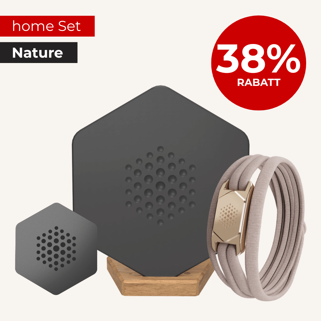 Basic Set Nature