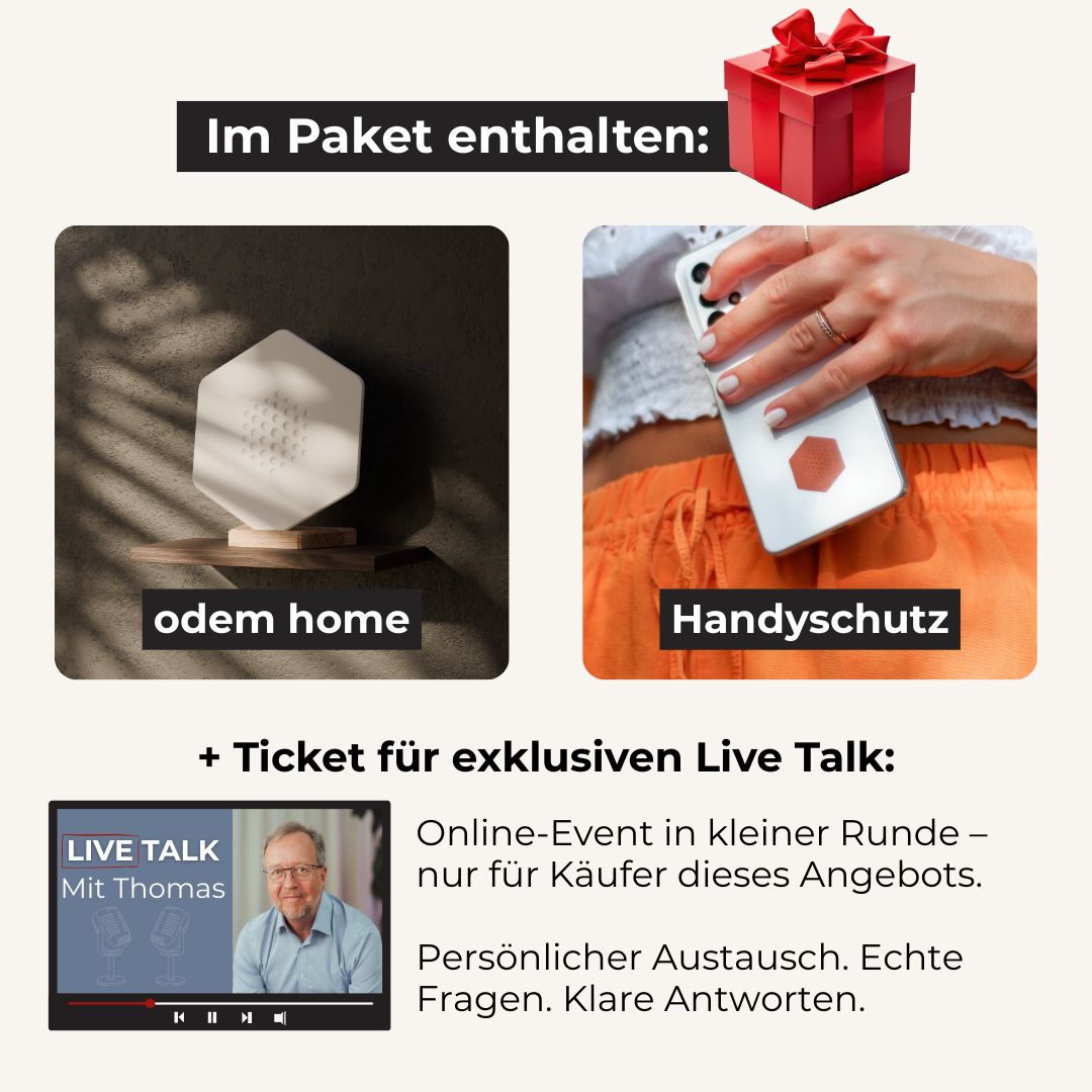 odem home Angebot