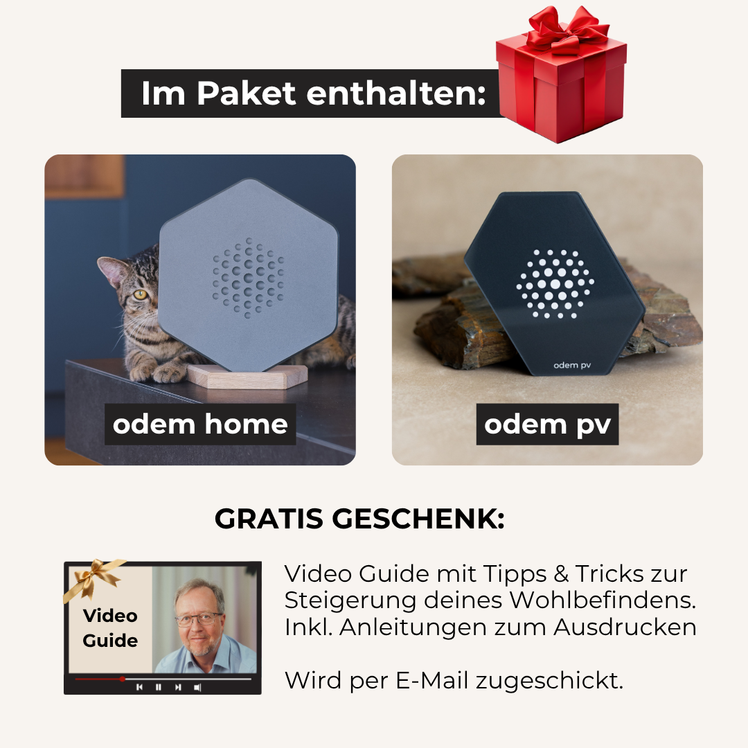 Cozy Home - Black Week Set