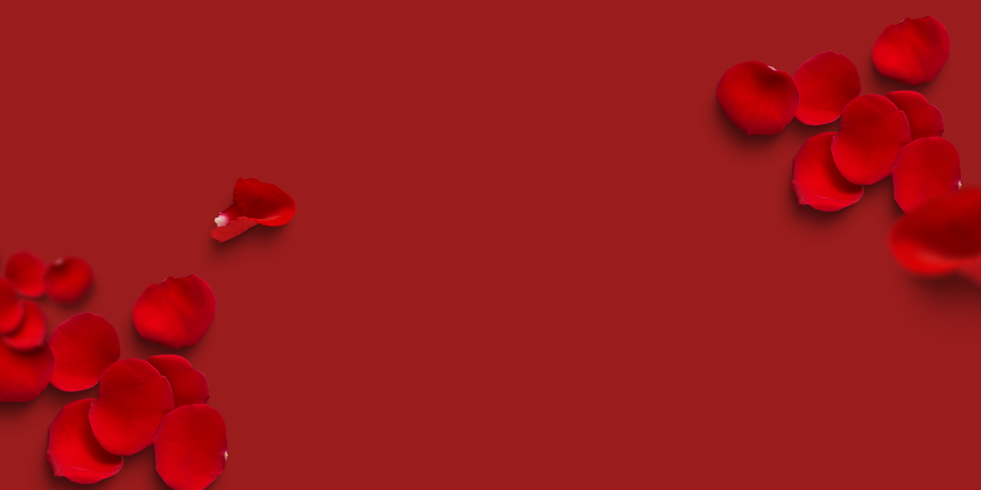 odem Valentinstag 2026 02 (3200 x 1600 px).png__PID:7063ab87-e52d-475b-9f1c-570c1a252fac